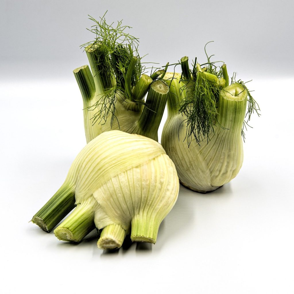 apprendre à manger le fenouil