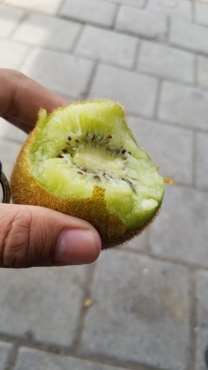 La peau du kiwi Diététicienne Nutritionniste Caudry
